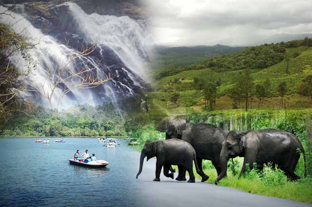 SPLASH-2025 to Showcase the Tourism Potential of Wayanad