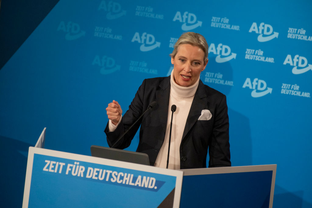 AfD branded 'extremist' by Germany's domestic intelligence service