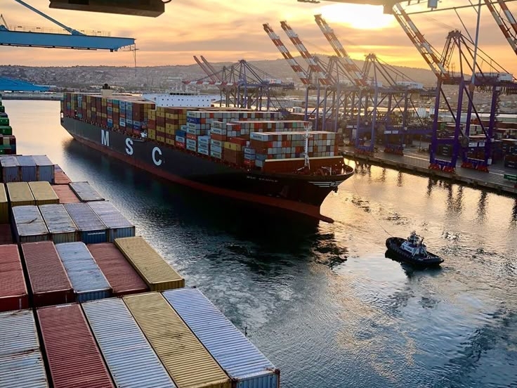 Rs 325 Crore Fraud in Shipping Sector Sends Shockwaves Through Mumbai