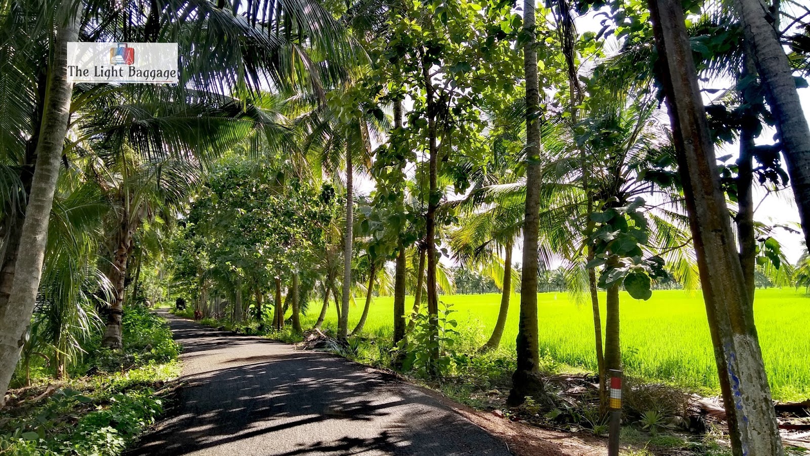 Konaseema to open 93-km coastline and riverfronts to the hospitality industry
