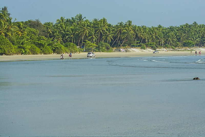 Muzhappilangad Beach Project Marks a Milestone in Tourism Development: CM