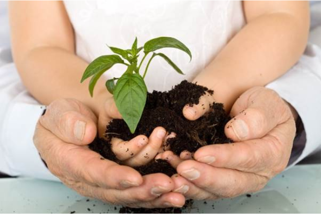 IHCL MARCHES TOWARDS ACHIEVING SUSTAINABILITY GOALS LEADS THE WAY WITH PAATHYA – ITS ESG+ FRAMEWORK