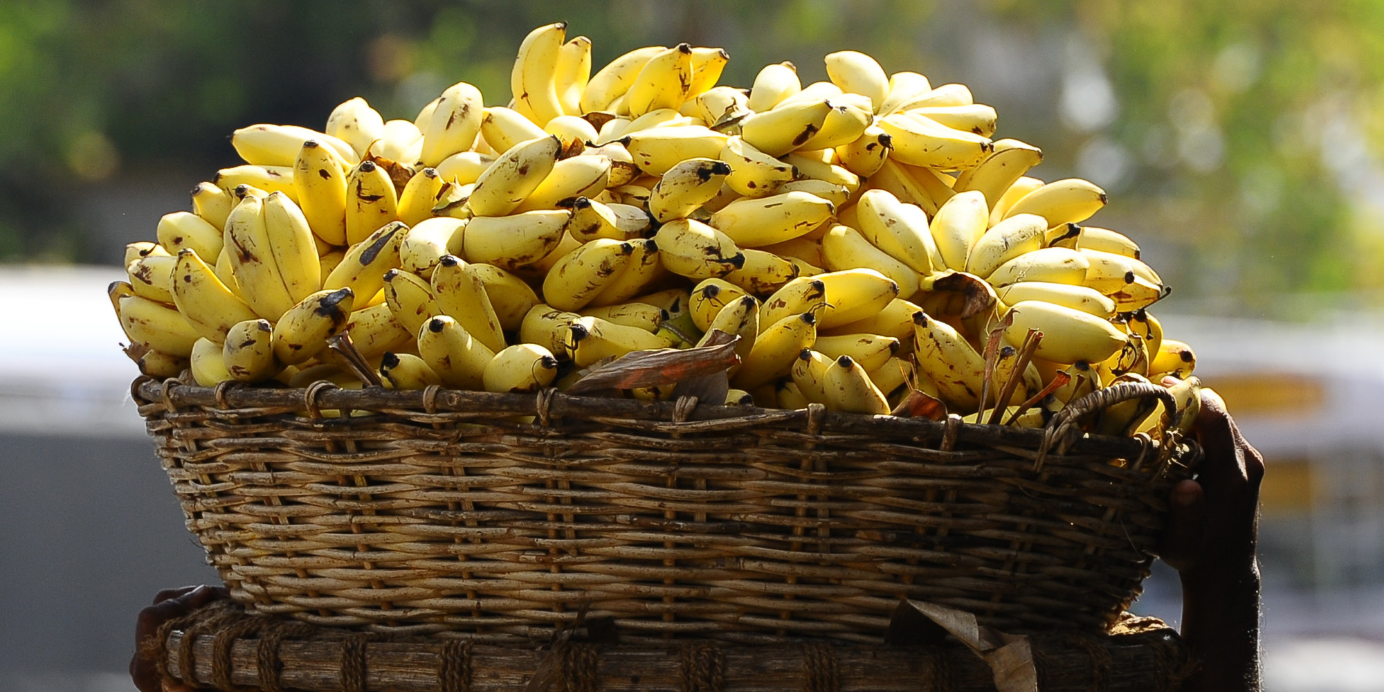Year end special: Latvia is known for women, India for bananas and China for Jailed Journalists, says Info graphic