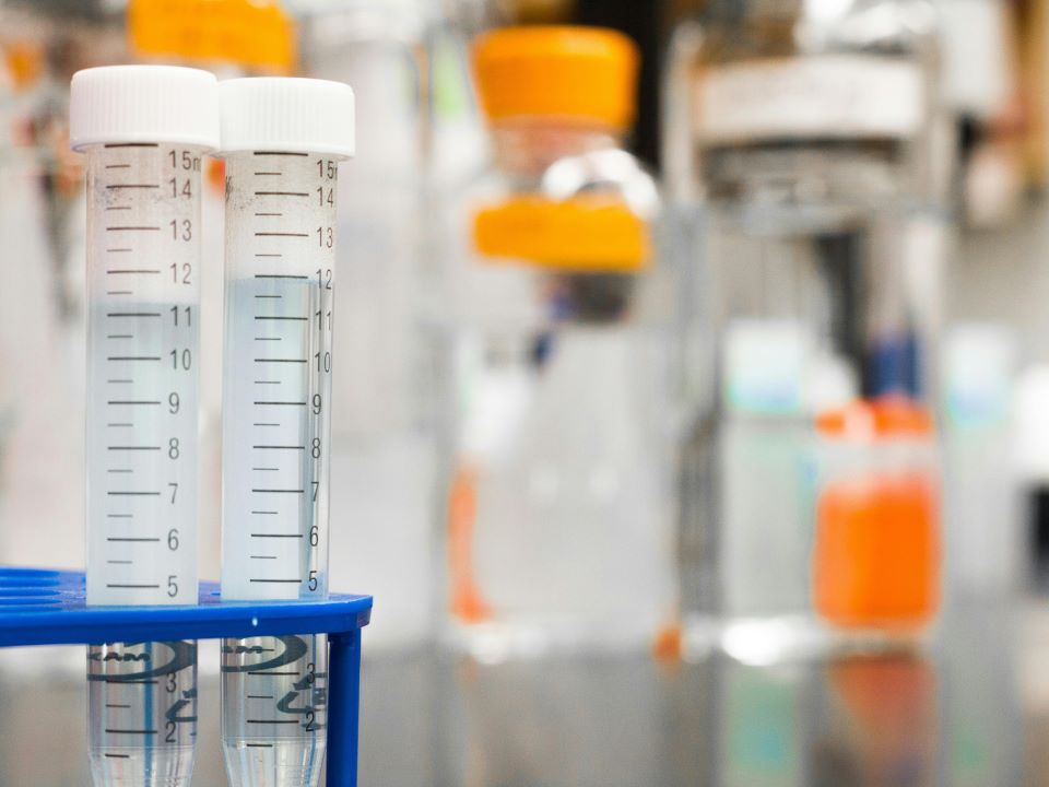 Department of Biotechnology Hosts the Fourth Webinar on the Theme “Biomanufacturing of Enzymes”