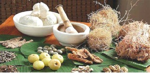 Traditional Knowledge Digital Library (TKDL)