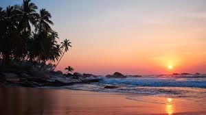 Goa Shuts 23 Beach Shacks for Policy Violations, Cracks Down on Subletting