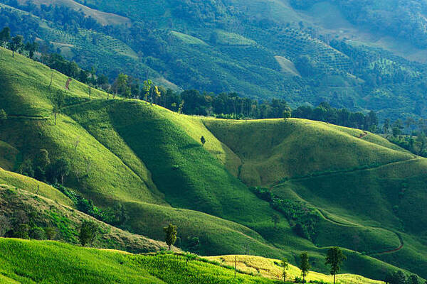 Nagaland Showcases Responsible Cultural Tourism in Influential Global Webinar