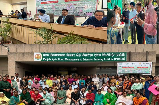 Women Entrepreneurs leading the way towards Sustainable Agriculture